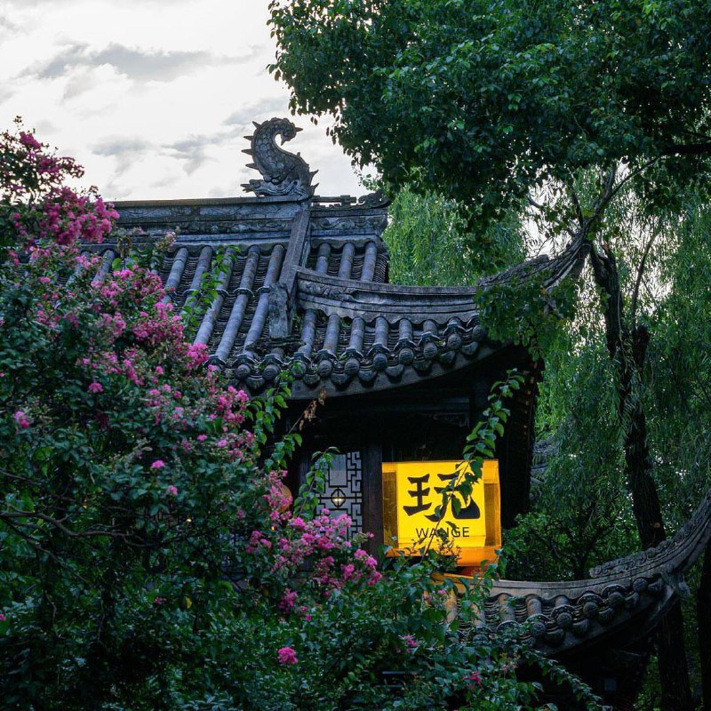 我在这个年龄最欣慰的一件事，就是渐渐远离了越来越多的人